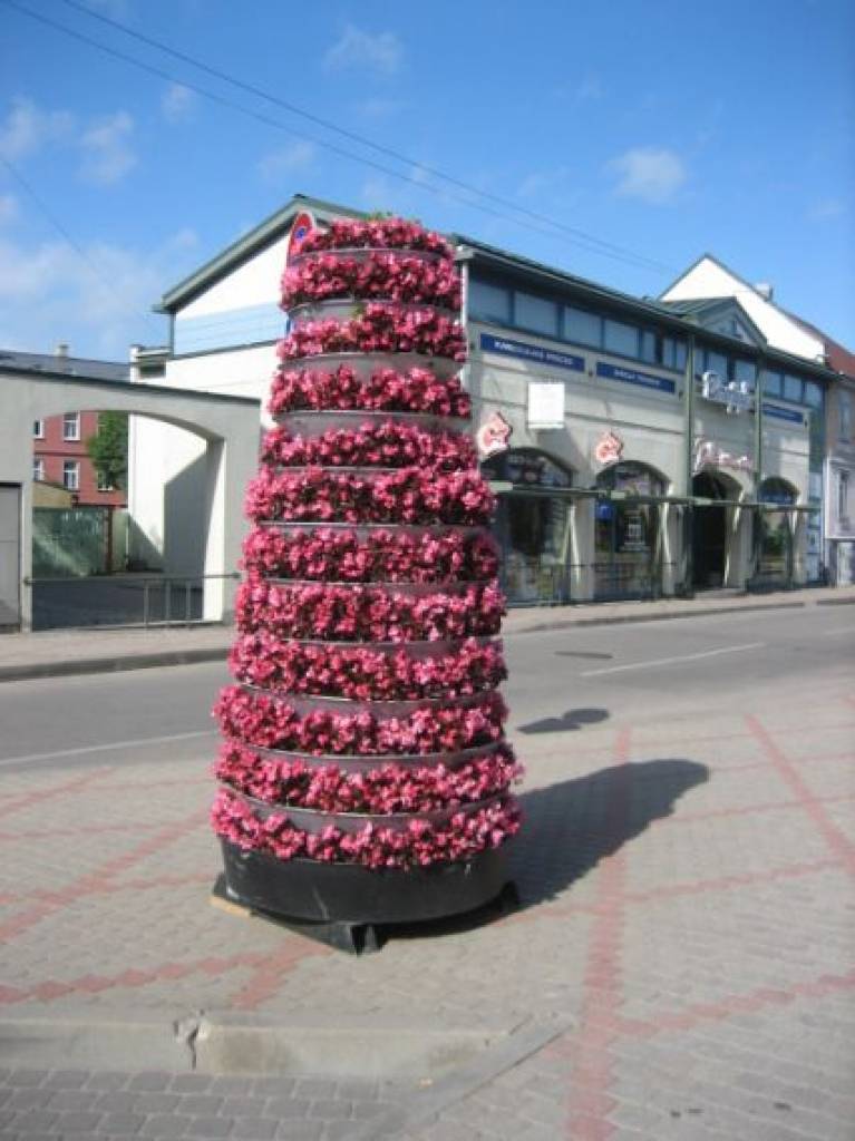 Autors: Jana Rūce