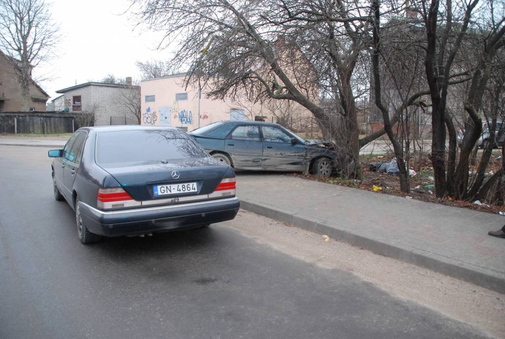 16. decembrī pirms pulksten 11 automašīnas "Mazda" vadītājs, braucot pa Vidusceļa ielu nav spējis nobremzēt, un iebuktējot automašīnas "Mercedes", kas brauca pa Pļavu ielu, priekšdaļu, ietriecās kokos pie krustojuma.
Autors: Jānis Goldbergs