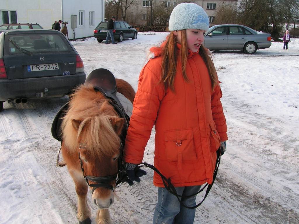 Vaiņodes pagasta Augustē sestdien vietējie iedzīvotāji un ikviens interesents tika aicināts baudīt ziemas priekus. 

Rīta pusē bērniem piedāvāja izjādes ar ponijiem un braucienus zirga vilktās kamanās. Augumā lielāki svētku dalībnieki...
Autors: Iluta Dreimane