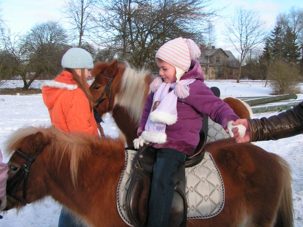Vaiņodes pagasta Augustē sestdien vietējie iedzīvotāji un ikviens interesents tika aicināts baudīt ziemas priekus. 

Rīta pusē bērniem piedāvāja izjādes ar ponijiem un braucienus zirga vilktās kamanās. Augumā lielāki svētku dalībnieki...
Autors: Iluta Dreimane