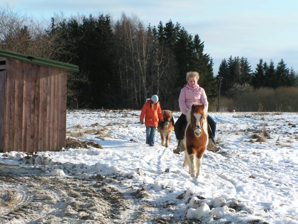 Vaiņodes pagasta Augustē sestdien vietējie iedzīvotāji un ikviens interesents tika aicināts baudīt ziemas priekus. 

Rīta pusē bērniem piedāvāja izjādes ar ponijiem un braucienus zirga vilktās kamanās. Augumā lielāki svētku dalībnieki...
Autors: Iluta Dreimane