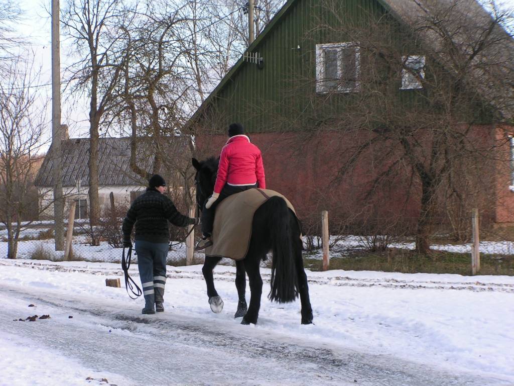 Vaiņodes pagasta Augustē sestdien vietējie iedzīvotāji un ikviens interesents tika aicināts baudīt ziemas priekus. 

Rīta pusē bērniem piedāvāja izjādes ar ponijiem un braucienus zirga vilktās kamanās. Augumā lielāki svētku dalībnieki...
Autors: Iluta Dreimane