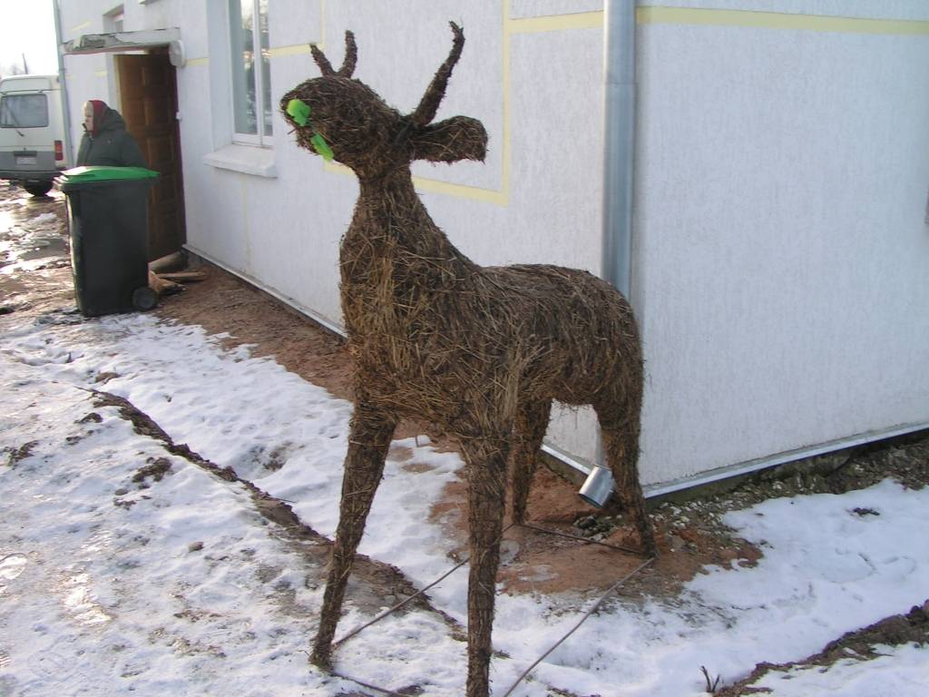 Vaiņodes pagasta Augustē sestdien vietējie iedzīvotāji un ikviens interesents tika aicināts baudīt ziemas priekus. 

Rīta pusē bērniem piedāvāja izjādes ar ponijiem un braucienus zirga vilktās kamanās. Augumā lielāki svētku dalībnieki...
Autors: Iluta Dreimane