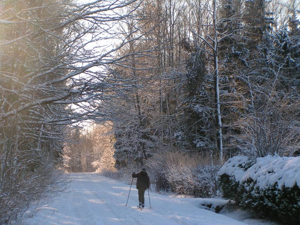 Brīvdienās, kas Liepājas rajonā tāpat kā visā Latvijā atnāca ar sniegu un salu, daudzi steidzās baudīt ziemas priekus. Bērniem īpašu sajūsmu sagādāja braukšana ar ragaviņām un šļūkšana no kalniņa ar dažādiem zem dibena novietojamiem...
Autors: Iluta Dreimane