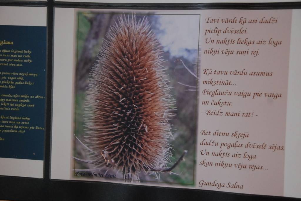 Līdz nākamās nedēļas sākumam Aizputes bibliotēkā var paspēt apskatīt fotodzejas izstādi “Sarmoti ziedi”. Tajā redzams aizputnieka Elmāra Līņa un siguldietes Gundegas Salnas kopdarbs. 
Autors: Iluta Dreimane