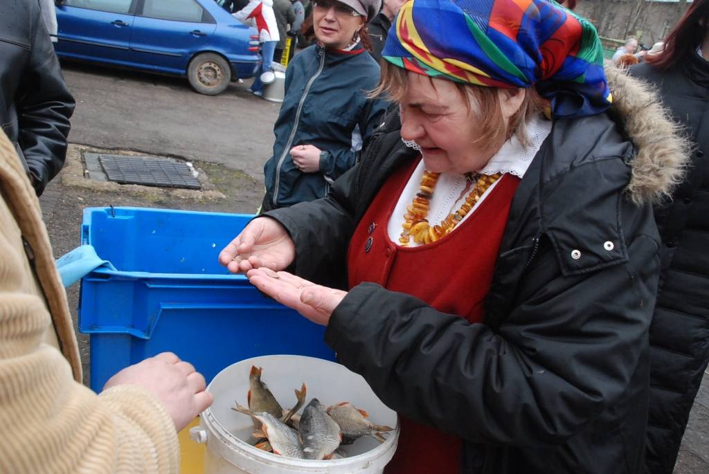 Sestdien Liepājā, Krūmu ielā 14, vērās vārti lauku produktu tirdziņam. “Atbalstīt zemniekus vajag,” saka kāda kundze, steidzot pēc rucavnieces Olgas Dūrējas ceptās maizes. 
“Laikam esmu nogulējusi, vajadzēja nākt agrāk,” konstatē cita,...
Autors: Anita Platace