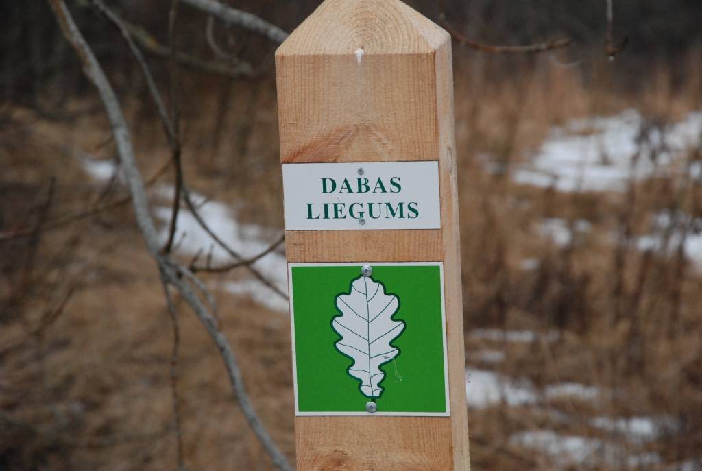 Sestdien, 14.martā, ap plkst.19 Liepājas rajona Medzes pagasta Spicaiskalns dabas liegumā degusi sausa zāle, portālam apstiprināja Valsts ugunsdzēsības un glābšanas dienesta Liepājas brigādes inspektors Edgars Rubenbergs.
Zāle degusi 500...
Autors: Jānis Goldbergs