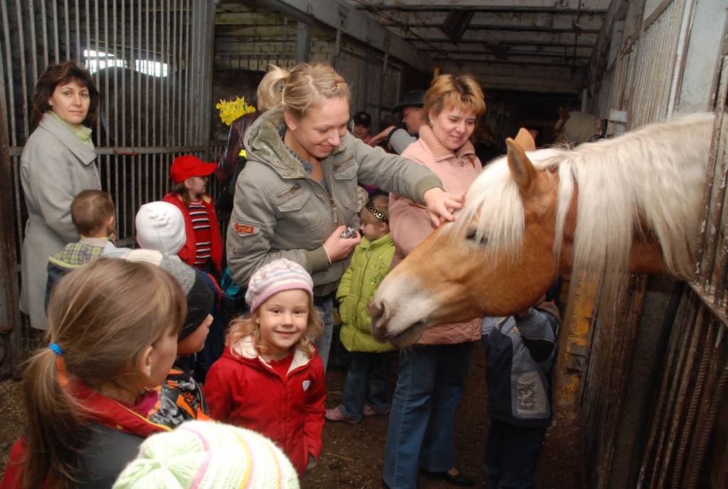 Aprīļa beigās visā pasaulē atzīmē Veterināro dienu. Šogad tās devīze – “Veterinārārsti un dzīvnieku īpašnieki: veiksmīga sadarbība”. Ar savu sadarbību interesentus – Vērgales pagasta pirmskolas iestādes “Kastanītis” audzēkņus –...
Autors: Anita Platace