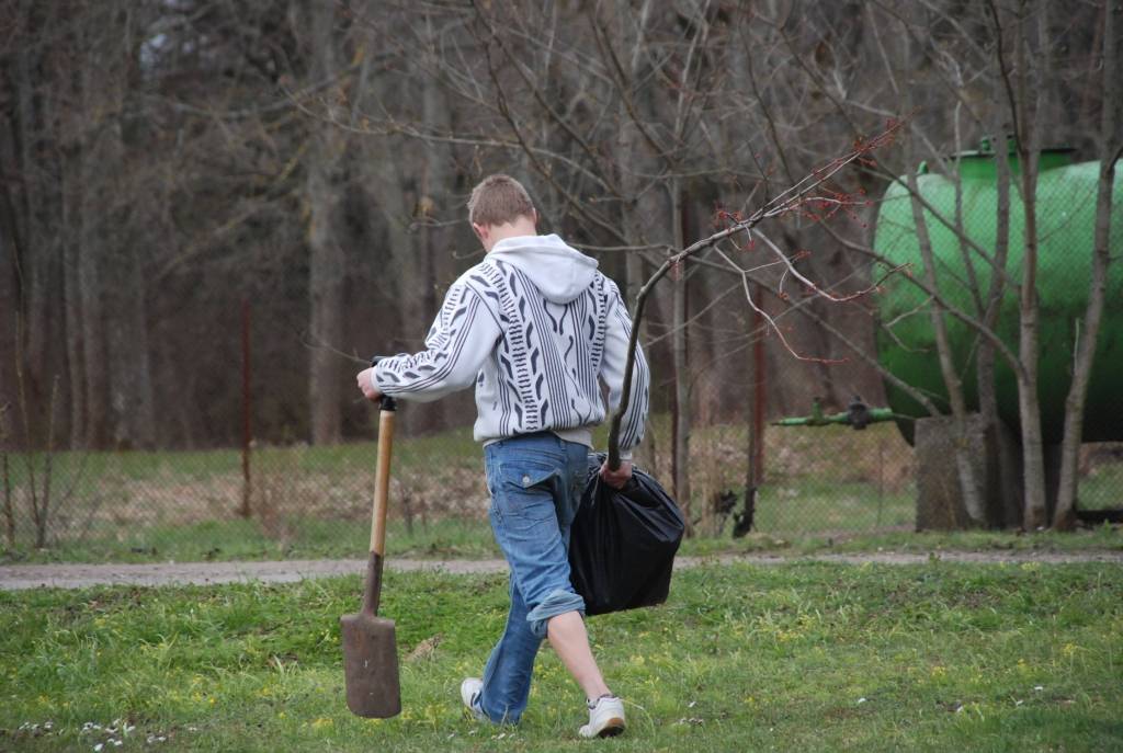Piemiņai par Kapsēdes pamatskolā pavadīto laiku un papildinot Kapsēdes muižas parku, divdesmit jaunu kociņu parkā trešdien iestādīja vietējās pamatskolas izlaiduma klases audzēkņi.

Stādīšanai no kokaudzētavas “Īve” atvesti sarkano ozolu,...
Autors: Sarmīte Štrausa