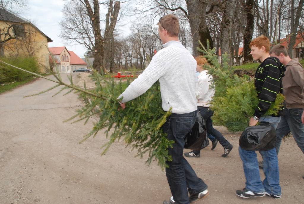 Piemiņai par Kapsēdes pamatskolā pavadīto laiku un papildinot Kapsēdes muižas parku, divdesmit jaunu kociņu parkā trešdien iestādīja vietējās pamatskolas izlaiduma klases audzēkņi.

Stādīšanai no kokaudzētavas “Īve” atvesti sarkano ozolu,...
Autors: Sarmīte Štrausa
