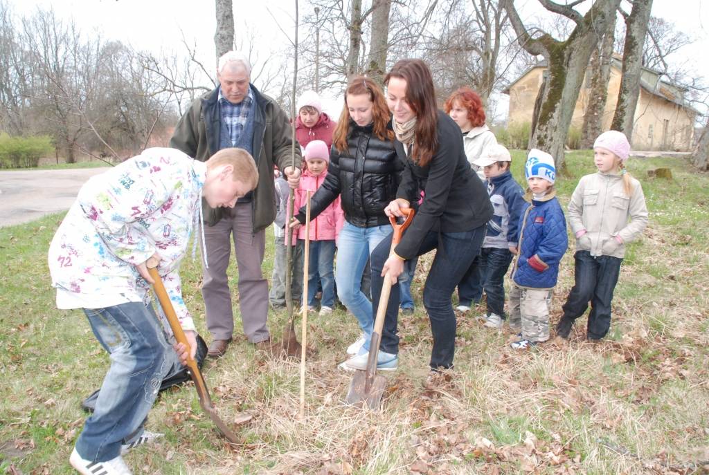 Piemiņai par Kapsēdes pamatskolā pavadīto laiku un papildinot Kapsēdes muižas parku, divdesmit jaunu kociņu parkā trešdien iestādīja vietējās pamatskolas izlaiduma klases audzēkņi.

Stādīšanai no kokaudzētavas “Īve” atvesti sarkano ozolu,...
Autors: Sarmīte Štrausa