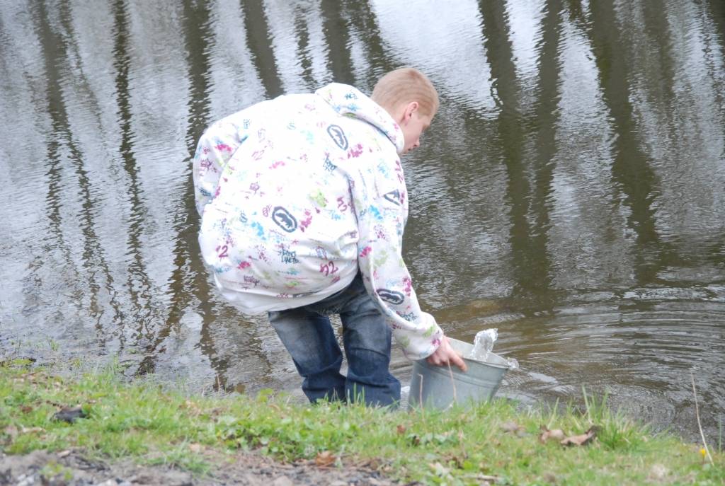 Piemiņai par Kapsēdes pamatskolā pavadīto laiku un papildinot Kapsēdes muižas parku, divdesmit jaunu kociņu parkā trešdien iestādīja vietējās pamatskolas izlaiduma klases audzēkņi.

Stādīšanai no kokaudzētavas “Īve” atvesti sarkano ozolu,...
Autors: Sarmīte Štrausa