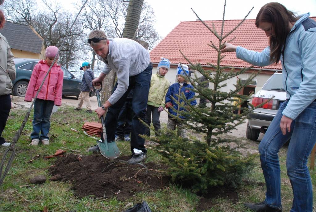 Piemiņai par Kapsēdes pamatskolā pavadīto laiku un papildinot Kapsēdes muižas parku, divdesmit jaunu kociņu parkā trešdien iestādīja vietējās pamatskolas izlaiduma klases audzēkņi.

Stādīšanai no kokaudzētavas “Īve” atvesti sarkano ozolu,...
Autors: Sarmīte Štrausa