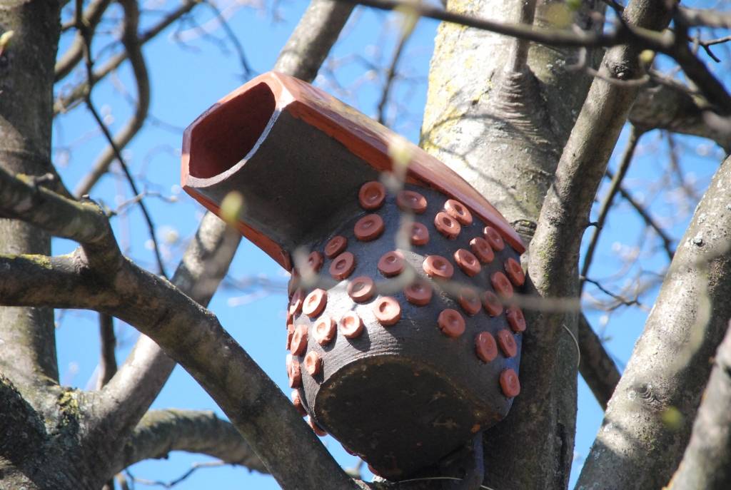 Sadarbībā ar Daugavpils universitāti Liepājas Mākslas koledžas dārzā materializējusies savdabīga ideja par mājokļiem putniem no netradicionāliem materiāliem, proti, keramikas.
Mājokļi putniem šogad Liepājā tapuši kā Keramikas nodaļas...
Autors: Ilze Vainovska
