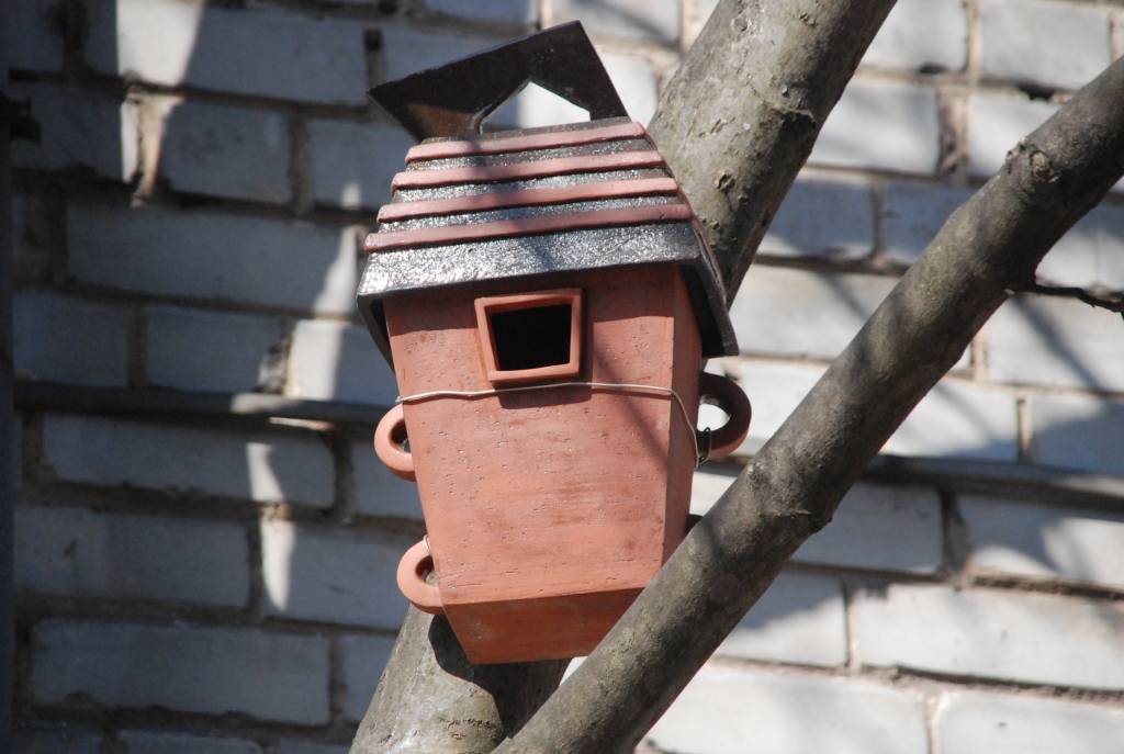 Sadarbībā ar Daugavpils universitāti Liepājas Mākslas koledžas dārzā materializējusies savdabīga ideja par mājokļiem putniem no netradicionāliem materiāliem, proti, keramikas.
Mājokļi putniem šogad Liepājā tapuši kā Keramikas nodaļas...
Autors: Ilze Vainovska