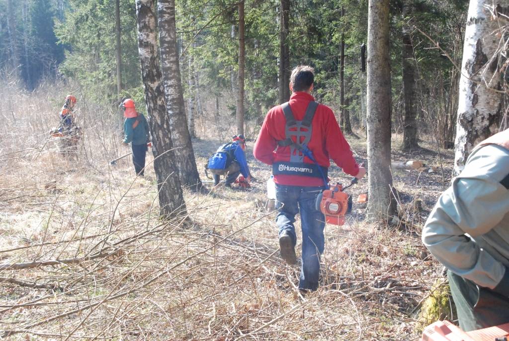 Trešdien Grobiņas mežniecības un Valsts meža dienesta (VMD) Konsultāciju pakalpojumu centra Liepājas biroja darbinieki devās uz Medzes pagasta “Miķelīšiem”. Šopavasar beidzas termiņš, kad tur jābūt atjaunotam 1,3 hektāru izcirtumam. 

VMD...
Autors: Anita Platace