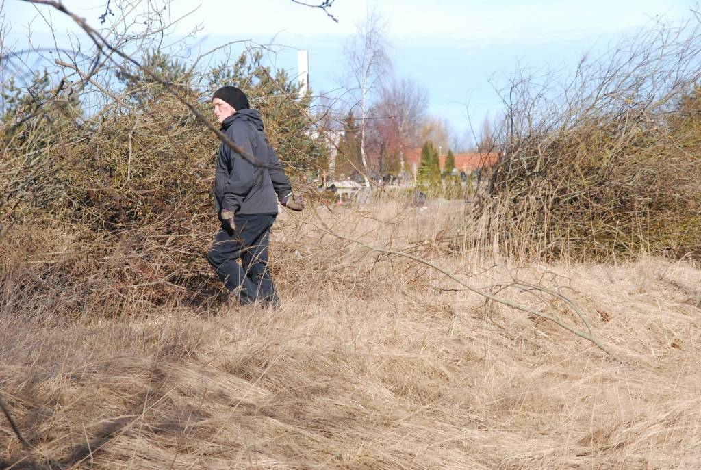 Pašvaldības aģentūra "Nodarbinātības projekti" šobrīd nodarbina 85 bezdarbniekus un plāno pieprasīt simt darba vietu otrajam pusgadam, tam pašvaldība jau līdzfinansējumu ieplānojusi. Šodien un rīt bezdarbnieki sakopj autoceļa...
Autors: Ilze Vainovska