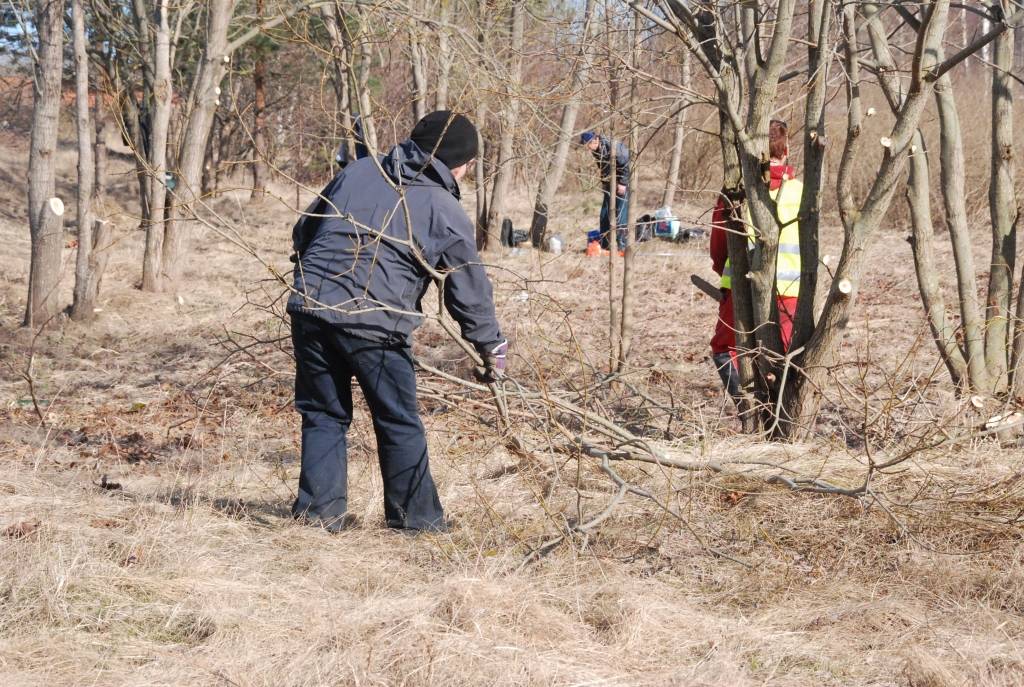 Pašvaldības aģentūra "Nodarbinātības projekti" šobrīd nodarbina 85 bezdarbniekus un plāno pieprasīt simt darba vietu otrajam pusgadam, tam pašvaldība jau līdzfinansējumu ieplānojusi. Šodien un rīt bezdarbnieki sakopj autoceļa...
Autors: Ilze Vainovska
