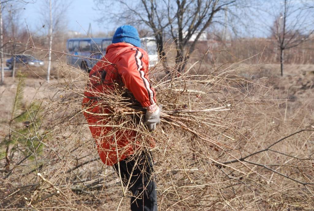 Pašvaldības aģentūra "Nodarbinātības projekti" šobrīd nodarbina 85 bezdarbniekus un plāno pieprasīt simt darba vietu otrajam pusgadam, tam pašvaldība jau līdzfinansējumu ieplānojusi. Šodien un rīt bezdarbnieki sakopj autoceļa...
Autors: Ilze Vainovska