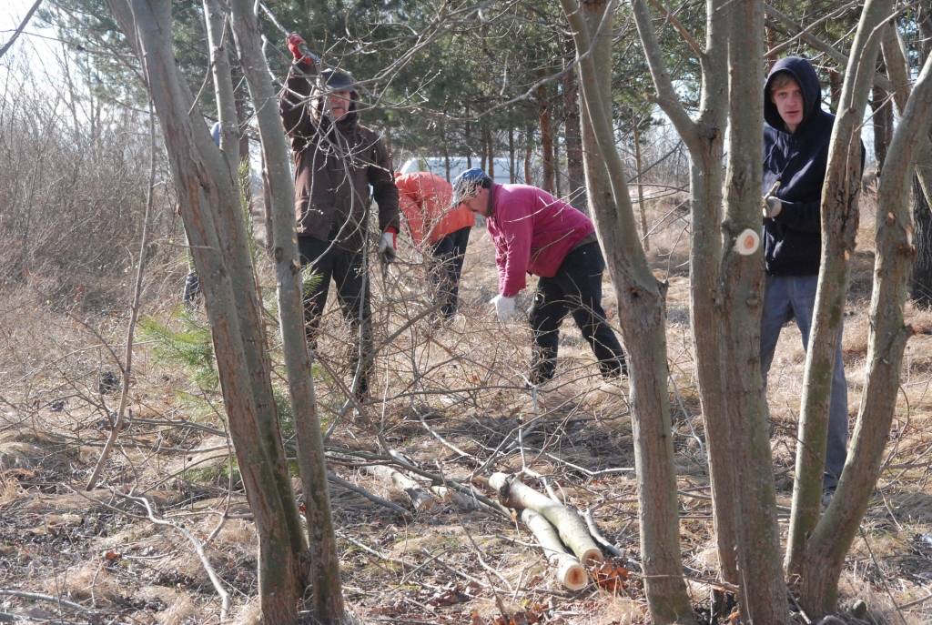 Pašvaldības aģentūra "Nodarbinātības projekti" šobrīd nodarbina 85 bezdarbniekus un plāno pieprasīt simt darba vietu otrajam pusgadam, tam pašvaldība jau līdzfinansējumu ieplānojusi. Šodien un rīt bezdarbnieki sakopj autoceļa...
Autors: Ilze Vainovska