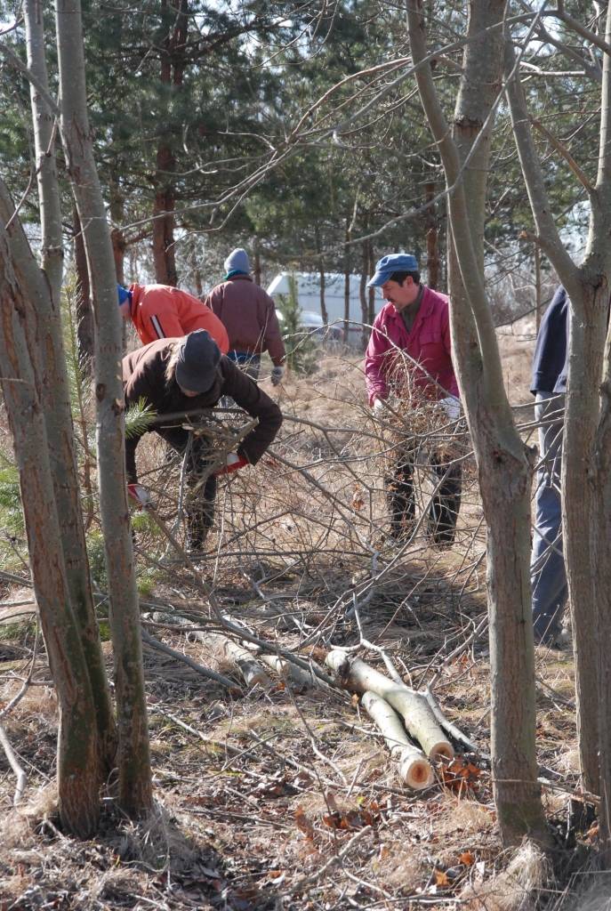Pašvaldības aģentūra "Nodarbinātības projekti" šobrīd nodarbina 85 bezdarbniekus un plāno pieprasīt simt darba vietu otrajam pusgadam, tam pašvaldība jau līdzfinansējumu ieplānojusi. Šodien un rīt bezdarbnieki sakopj autoceļa...
Autors: Ilze Vainovska