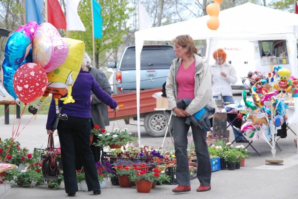Vakar, 16. maijā, Pāvilosta ar daudzveidīgu pasākumu programmu nosvinēja savu 130. jubileju. 
Autors: "Rekurzeme", portāls