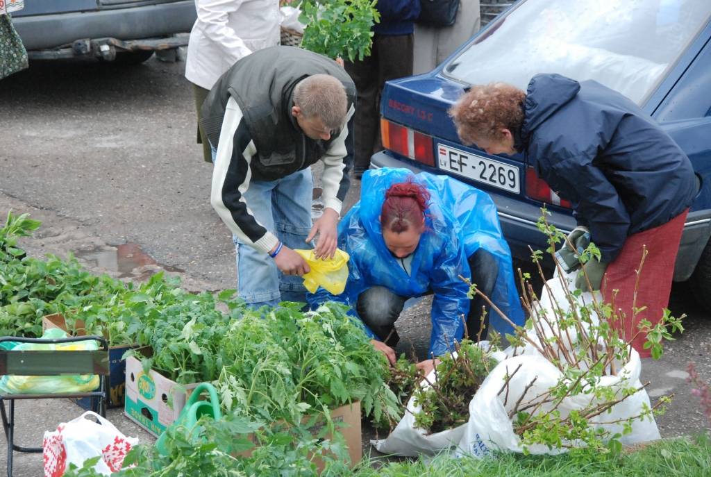 Sestdien, 9. maijā, Aizputē notika gadatirgus.
Autors: "Rekurzeme", portāls