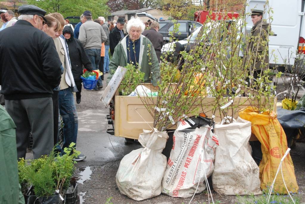 Sestdien, 9. maijā, Aizputē notika gadatirgus.
Autors: "Rekurzeme", portāls