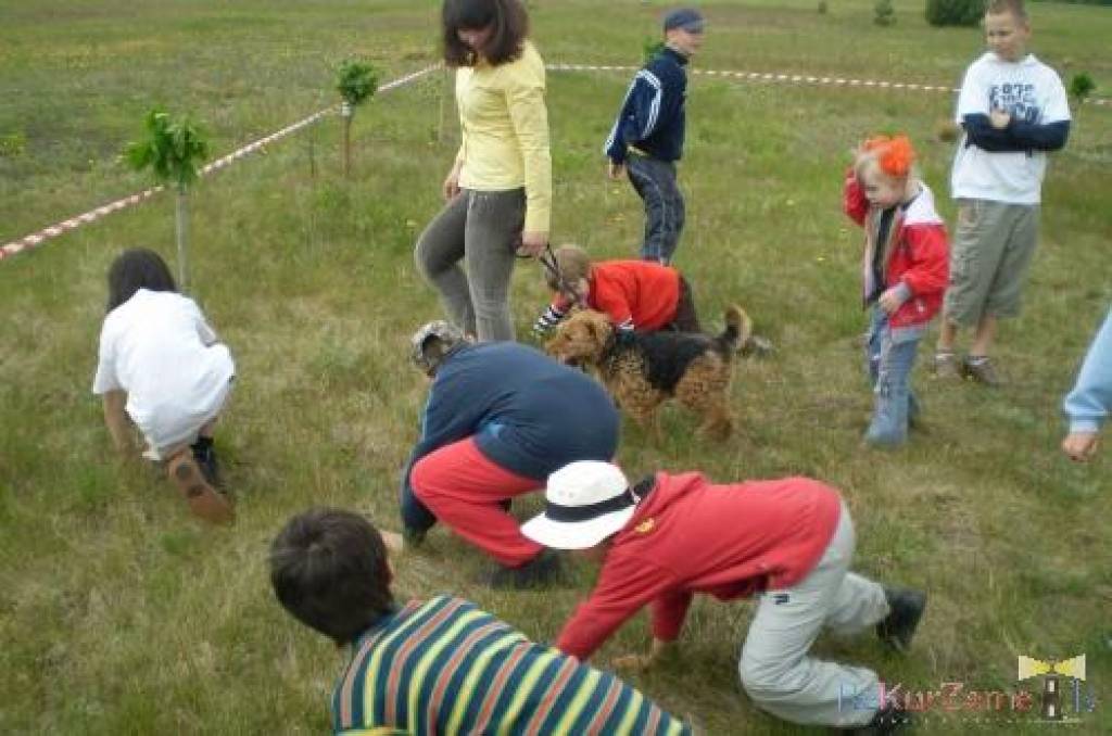 Sestdien Grobiņas pagasta “Dižvanagos” viesojās suņi un instruktori no Dienesta un sporta suņkopības mācību centra, lai iepazīstinātu ar kanisterapiju un tās iespējām. 
Kanisterapija nozīmē dziedināšanu saskarsmē ar speciāli piemeklētiem...
Autors: Ilze Vainovska