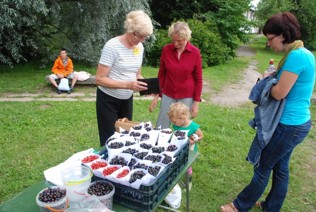 No 19. līdz26. jūlijam Kazdangā noris viena divām 3x3 nometnēm Latvijā. Tur pulcējas ap 350 dalibnieku no desmit pasaules valstīm. Latviskās un vispārcilvēciskās vērtības apgūt ik dienas pievienojas ap 100 vietējo iedzīvotāju.
Ieskats...