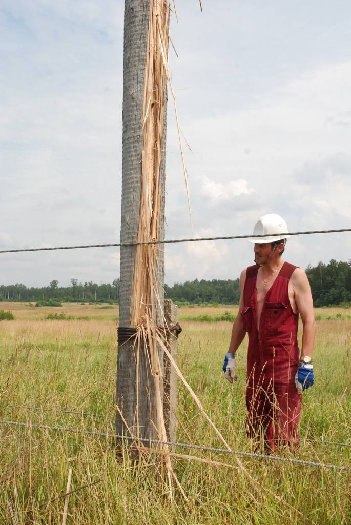 AS “Sadales tīkls” Liepājas iecirkņa remonta un celtniecības dienesta darbinieki atjauno elektrolīniju Dunikā. Naktī uz ceturtdienu, sašķeļot septiņus stabus, to izpostījis spēcīgs negaiss. Ap pulksten pieciem “šausmīgu grandoņu”...
Autors: "Rekurzeme", portāls
