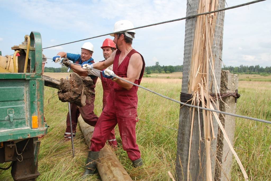 AS “Sadales tīkls” Liepājas iecirkņa remonta un celtniecības dienesta darbinieki atjauno elektrolīniju Dunikā. Naktī uz ceturtdienu, sašķeļot septiņus stabus, to izpostījis spēcīgs negaiss. Ap pulksten pieciem “šausmīgu grandoņu”...
Autors: "Rekurzeme", portāls