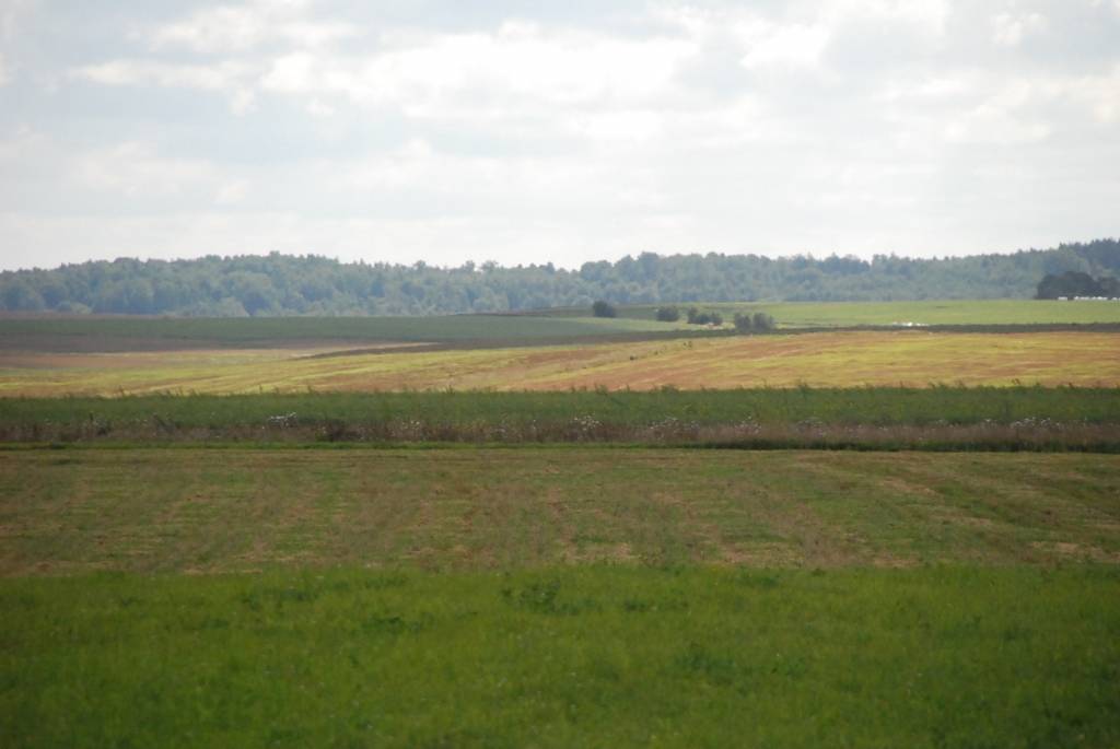 Vērgales pagasta “Rīdziņos” sākušies lielie dāliju ziedēšana svētki. Vītolu ģimenes aprūpē  ir ap 400 šķirņu liela dāliju kolekcija. Taču dālijas nav vienīgās saimnieces Ineses mīlules – viņas aprūpē ir arī prāva gladiolu un liliju dobe....
Autors: Sarmīte Štrausa
