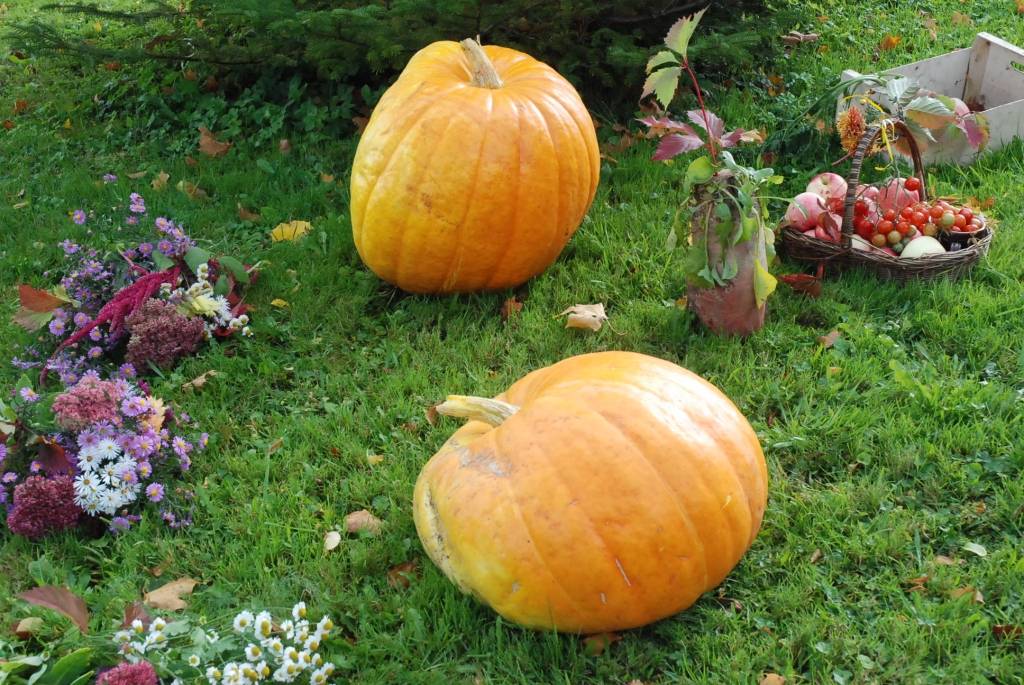 Piektdien, 25. septembrī, Vecpilī notika tradicionālais Miķeļdienas tirgus. Tā laikā bija arī Dzejas tirgus. Pie vecpilniekiem bija ieradies dzejnieks Jānis Auza.
Autors: Uldis Dobelis
