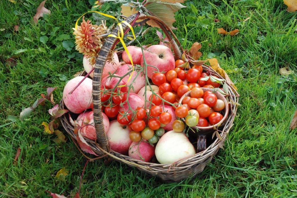 Piektdien, 25. septembrī, Vecpilī notika tradicionālais Miķeļdienas tirgus. Tā laikā bija arī Dzejas tirgus. Pie vecpilniekiem bija ieradies dzejnieks Jānis Auza.
Autors: Uldis Dobelis