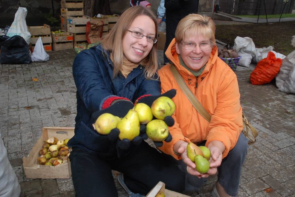 Loterijas biļešu bija par maz, pēc sestdienas "Ābolsvētkiem" secina Diakonijas centra vadītājs Mārtiņš Urdze. Lai arī saukti par "Ābolsvētkiem", visplašākajā piedāvājumā bija zemnieku saziedoti bumbieri un dārzeņi – burkāni, kabači,...
Autors: "Rekurzeme", portāls