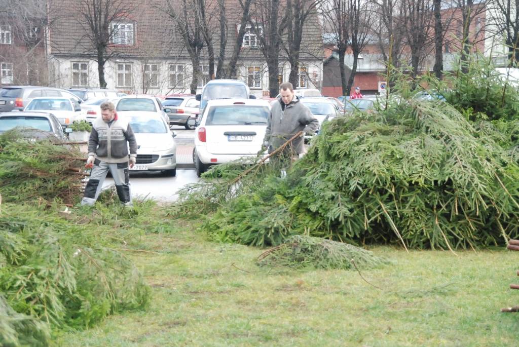 Šodien, 26. novembrī, Rožu laukumā sāk uzstādīt lielo svētku egli. 12 metrus augstā egle tiks veidota no 600 mazām eglītēm. Egles svinīgā iedegšana Rožu laukumā paredzēta 1. decembrī pulksten 18. Liepājas Bērnu un jaunatnes centra audzēkņi...