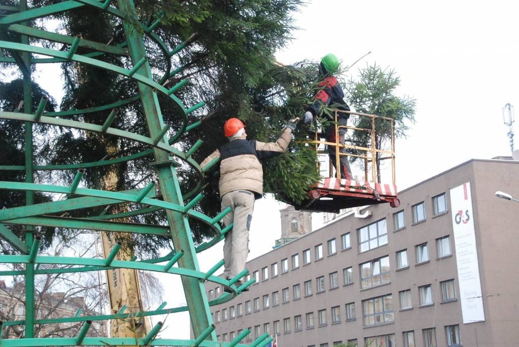 Šodien, 26. novembrī, Rožu laukumā sāk uzstādīt lielo svētku egli. 12 metrus augstā egle tiks veidota no 600 mazām eglītēm. Egles svinīgā iedegšana Rožu laukumā paredzēta 1. decembrī pulksten 18. Liepājas Bērnu un jaunatnes centra audzēkņi...