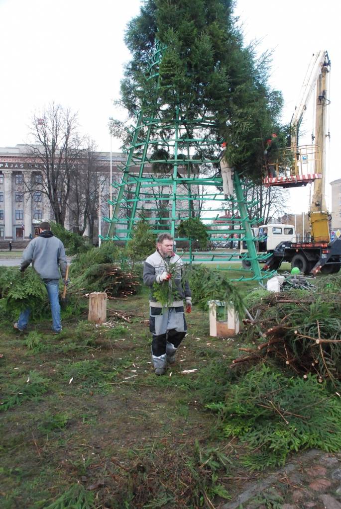 Šodien, 26. novembrī, Rožu laukumā sāk uzstādīt lielo svētku egli. 12 metrus augstā egle tiks veidota no 600 mazām eglītēm. Egles svinīgā iedegšana Rožu laukumā paredzēta 1. decembrī pulksten 18. Liepājas Bērnu un jaunatnes centra audzēkņi...