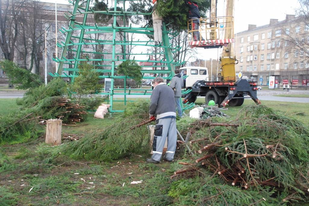 Šodien, 26. novembrī, Rožu laukumā sāk uzstādīt lielo svētku egli. 12 metrus augstā egle tiks veidota no 600 mazām eglītēm. Egles svinīgā iedegšana Rožu laukumā paredzēta 1. decembrī pulksten 18. Liepājas Bērnu un jaunatnes centra audzēkņi...
