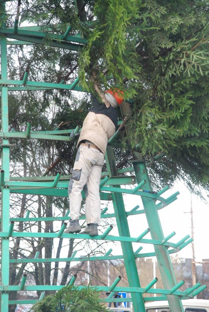 Šodien, 26. novembrī, Rožu laukumā sāk uzstādīt lielo svētku egli. 12 metrus augstā egle tiks veidota no 600 mazām eglītēm. Egles svinīgā iedegšana Rožu laukumā paredzēta 1. decembrī pulksten 18. Liepājas Bērnu un jaunatnes centra audzēkņi...
