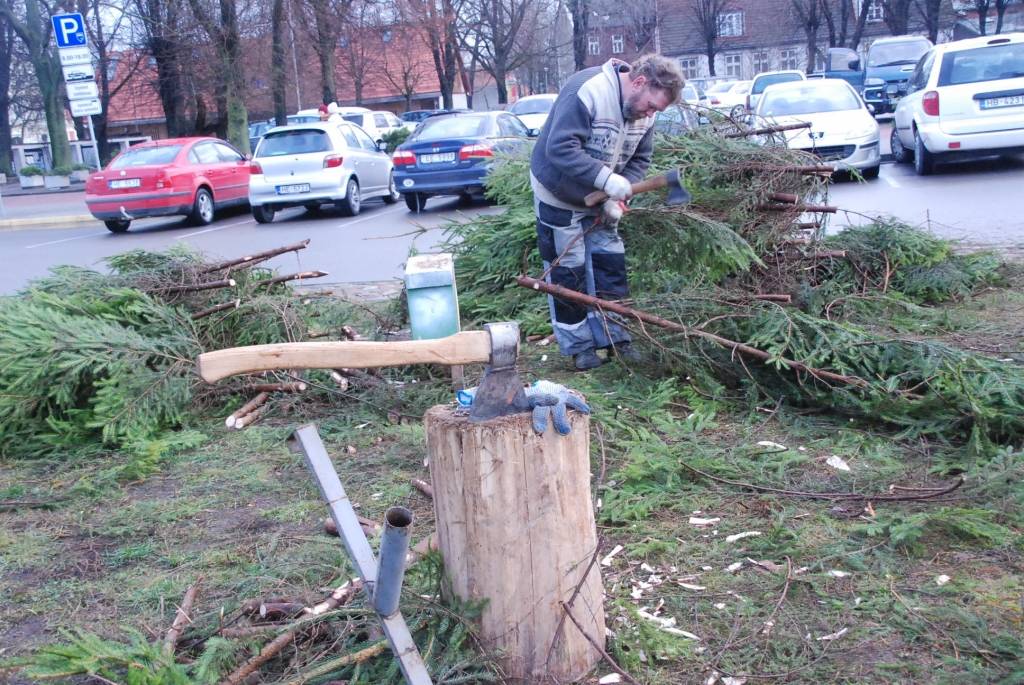 Šodien, 26. novembrī, Rožu laukumā sāk uzstādīt lielo svētku egli. 12 metrus augstā egle tiks veidota no 600 mazām eglītēm. Egles svinīgā iedegšana Rožu laukumā paredzēta 1. decembrī pulksten 18. Liepājas Bērnu un jaunatnes centra audzēkņi...