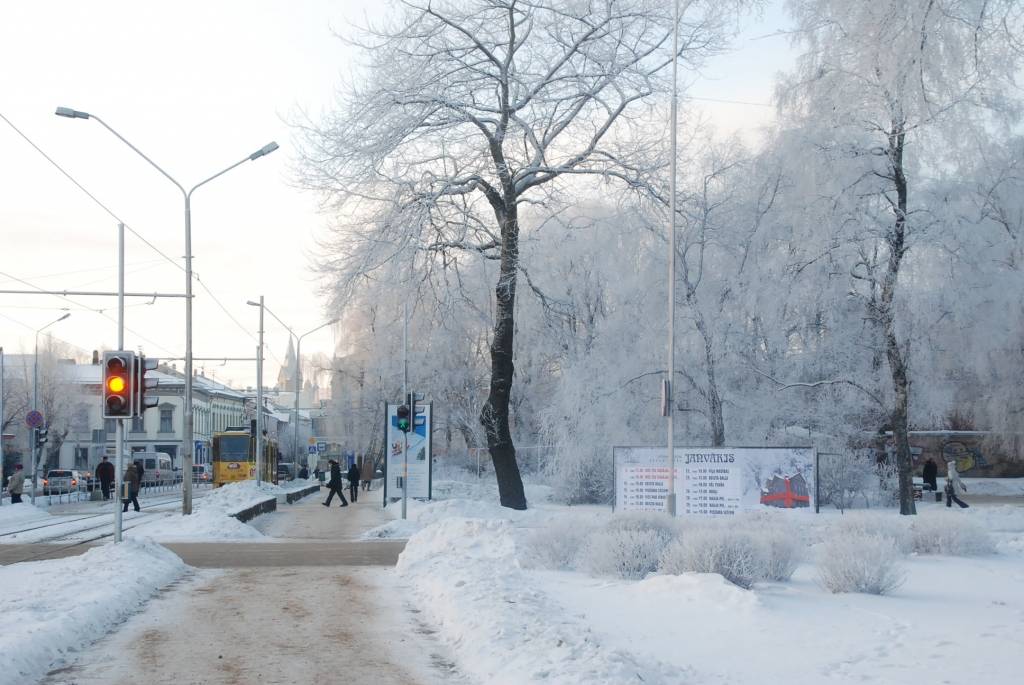 Pat tie, kuriem ziema kā gadalaiks ne visai patīk, nevar noliegt, ka skats aiz loga ir fantastisks. Ir sasnidzis, koki ir apsarmojuši, šodien spīd arī saule.

Autovadītājiem gan jābūt uzmanīgiem, sinoptiķi brīdina par miglu visā Latvijā....