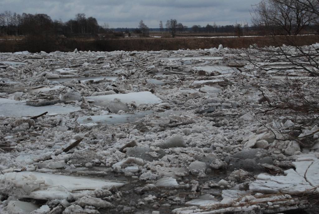 Vakar, 24. martā, kad vietējos apšalca ziņa, ka, iespējams, tiks spridzināts ledus Bārtas upē, situāciju brauca pētīt daudzi ziņkārīgie - atbraukuši bija gan no Liepājas, Rucavas, Grobiņas un citurienes. Šodien, 25. martā, tiek ziņots, ka...