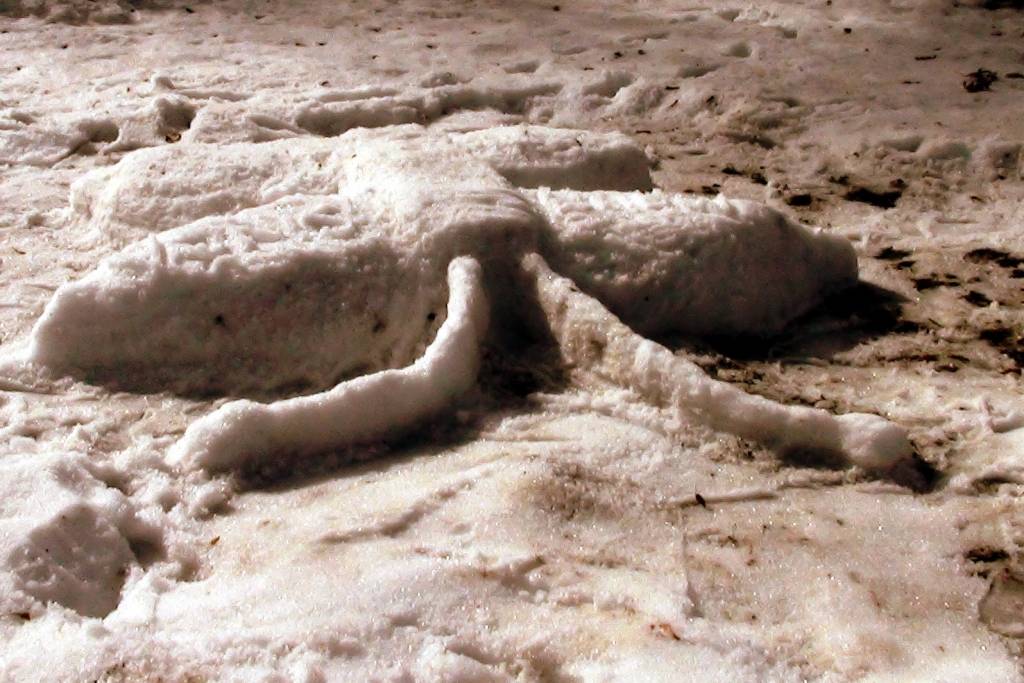 Cīravā pirmā pavasara diena – 21.martā – atausa jauka un saulaina un aicināt aicināja visus laukā. Daudzi gaida vēl siltākas dienas, taču neliels pulciņš bija pakļāvušies saulainā rīta aicinājumam un bija redzami Alus dārzā būvējam sniega...