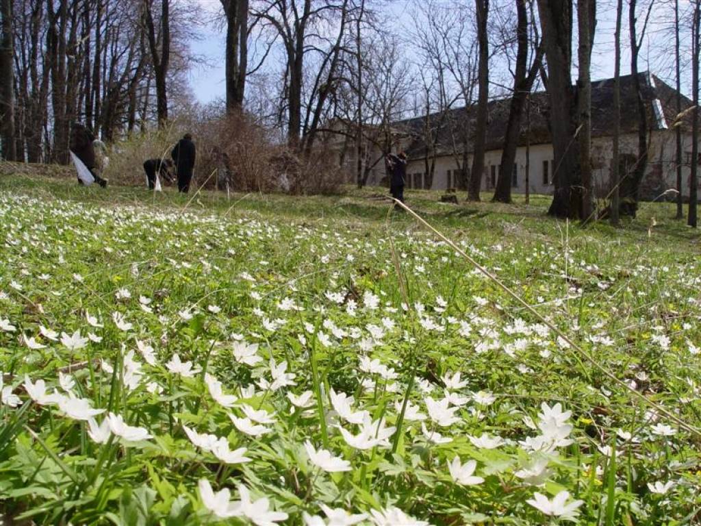 Cīravas arodvidusskolas jaunieši, atbalstot aktivitātes valstī, Lielajā talkā  piedalījās jau 22. aprīlī, kad 1.kursa automehāniķu grupas 29 jaunieši ar audzinātāju R. Figoriņu sakopa apkārtni ap skolas  mehāniskajām darbnīcām. Jaunieši...