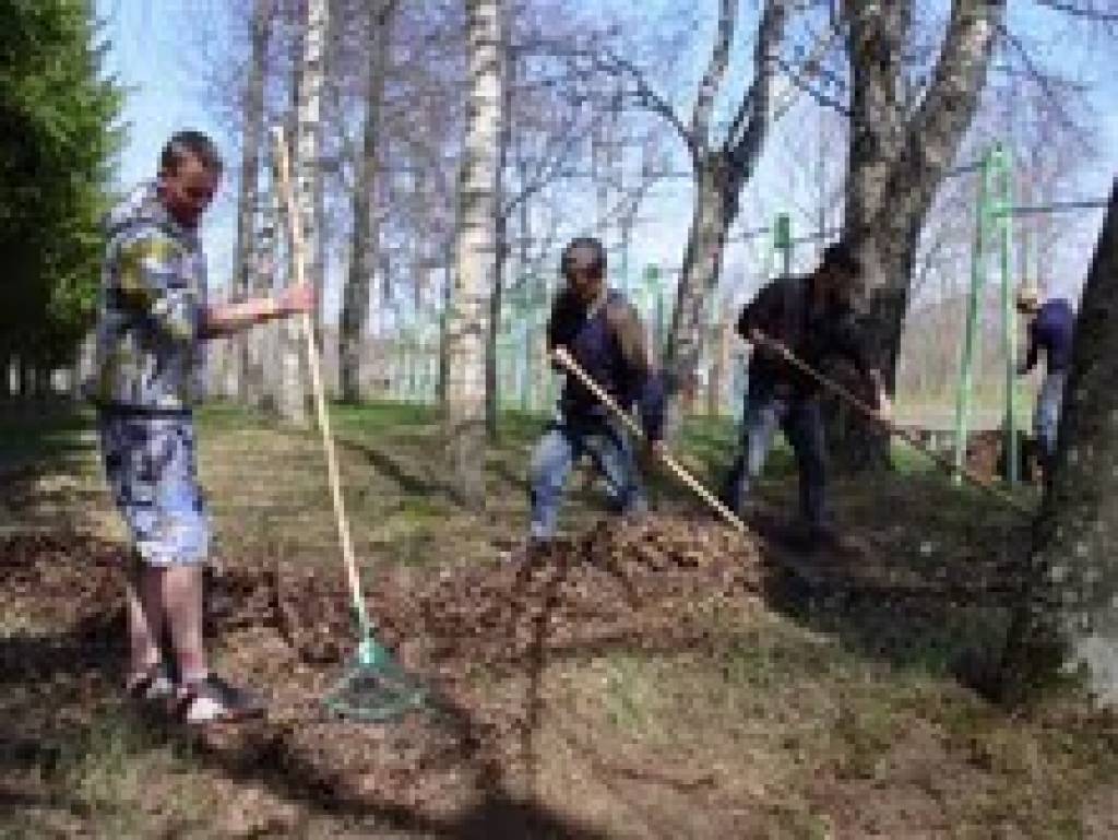 Cīravas arodvidusskolas jaunieši, atbalstot aktivitātes valstī, Lielajā talkā  piedalījās jau 22. aprīlī, kad 1.kursa automehāniķu grupas 29 jaunieši ar audzinātāju R. Figoriņu sakopa apkārtni ap skolas  mehāniskajām darbnīcām. Jaunieši...