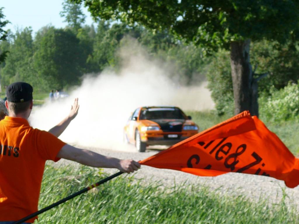 Rallijs "Teng Tools Rally Madona 2010”, kas norisinājās 5. un 6. jūnijā Madonā un bija Latvijas autorallija un rallijsprinta čempionāta ceturtais posms.