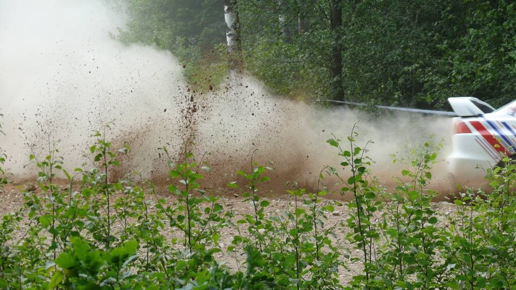 Rallijs "Teng Tools Rally Madona 2010”, kas norisinājās 5. un 6. jūnijā Madonā un bija Latvijas autorallija un rallijsprinta čempionāta ceturtais posms.