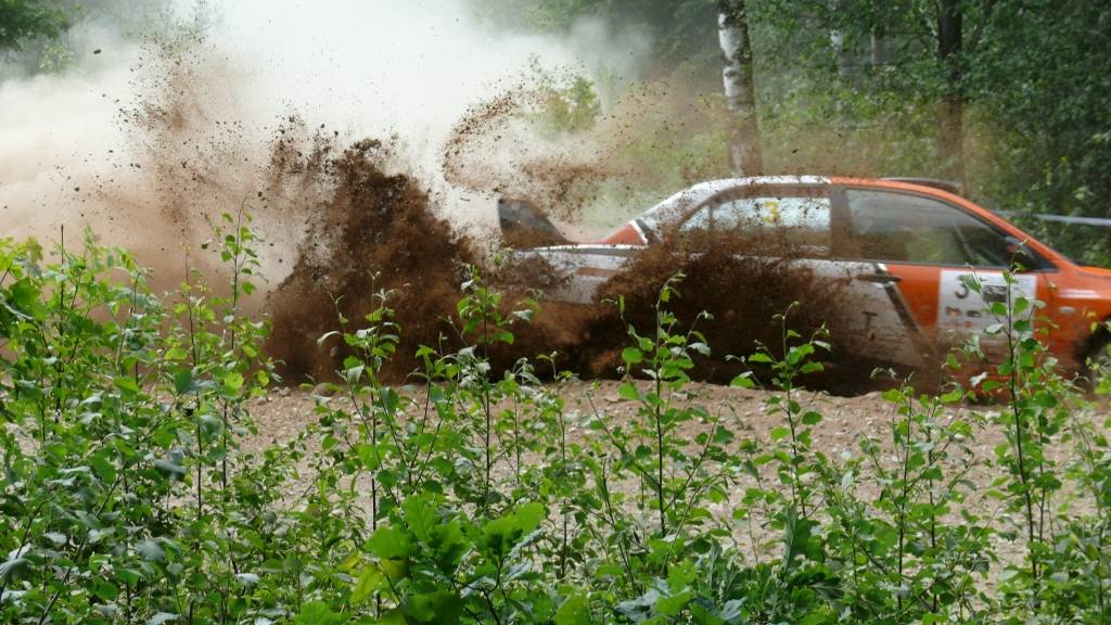 Rallijs "Teng Tools Rally Madona 2010”, kas norisinājās 5. un 6. jūnijā Madonā un bija Latvijas autorallija un rallijsprinta čempionāta ceturtais posms.